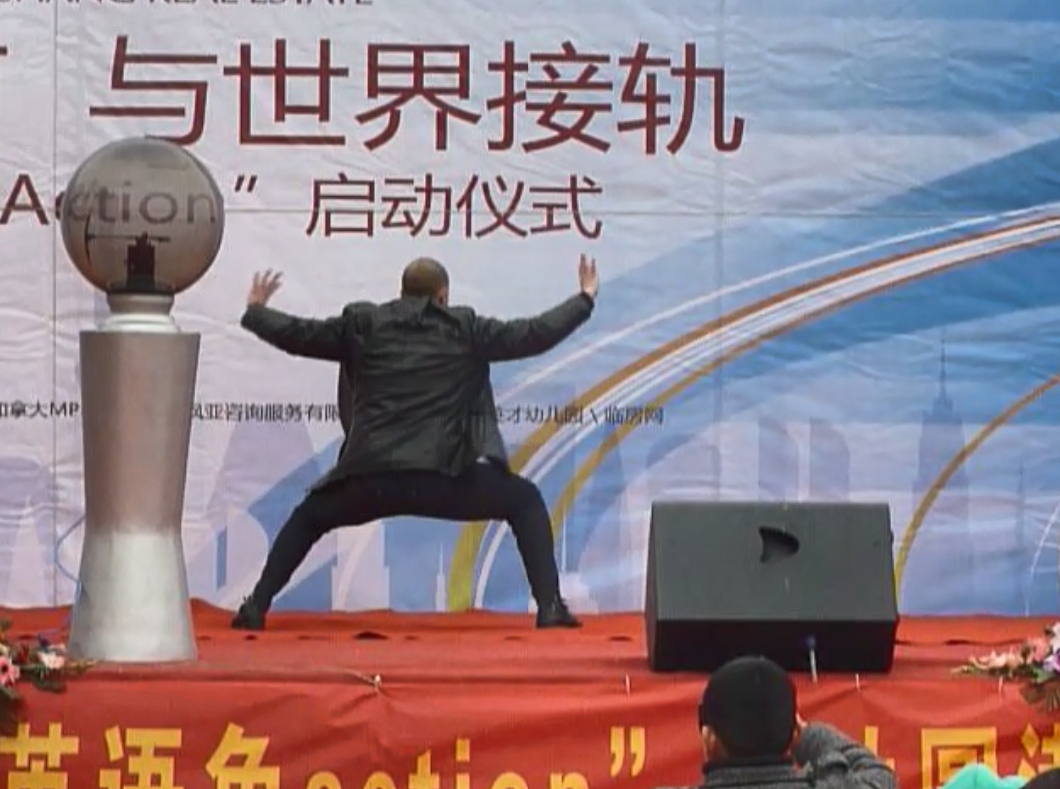 Tai Ji demonstration-FengHuang Chuang-LinYi-2012